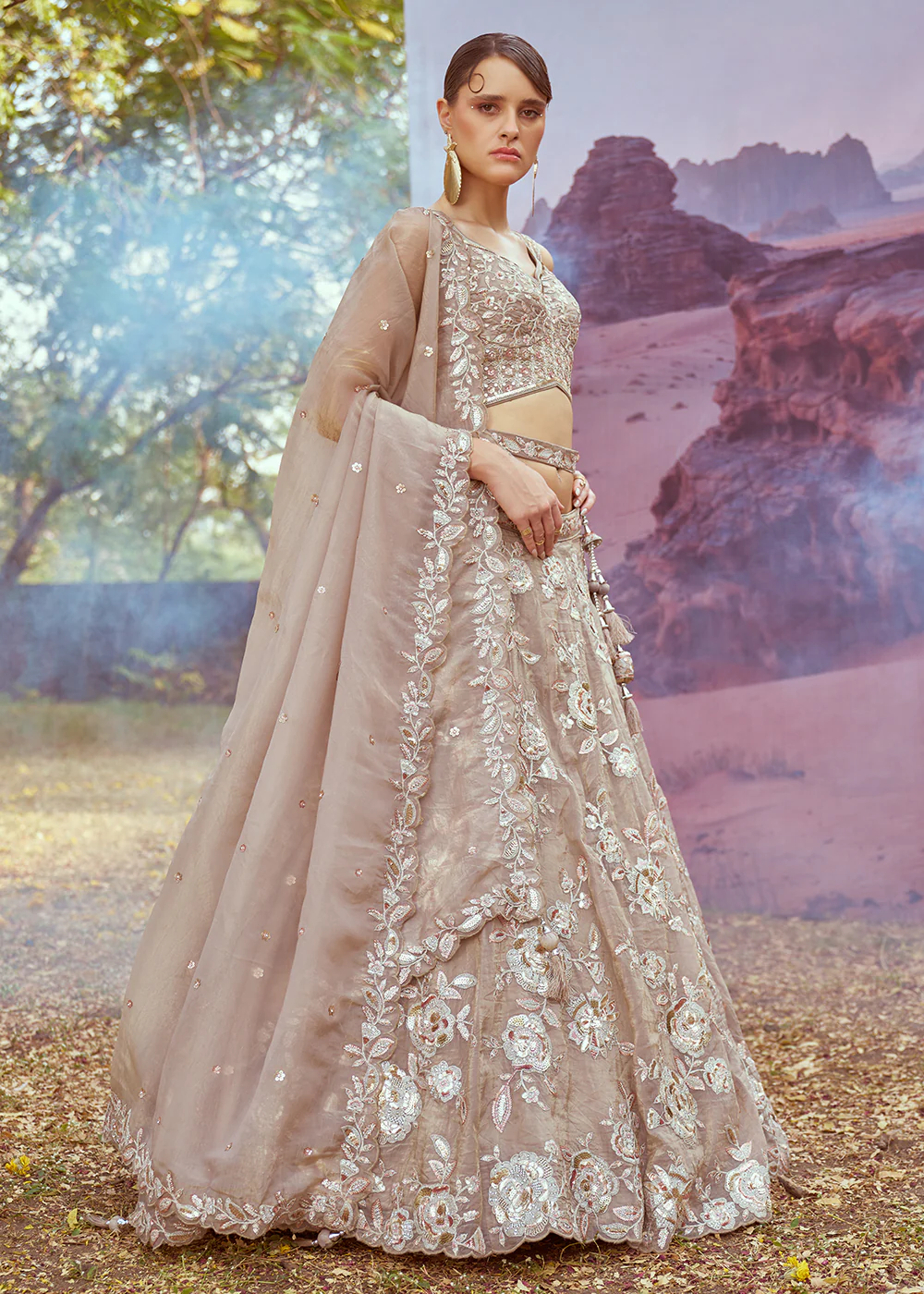 Beige Organza Multi Sequins Designer Lehenga Choli - Image 5