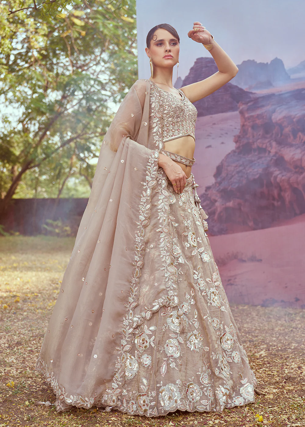 Beige Organza Multi Sequins Designer Lehenga Choli - Image 6