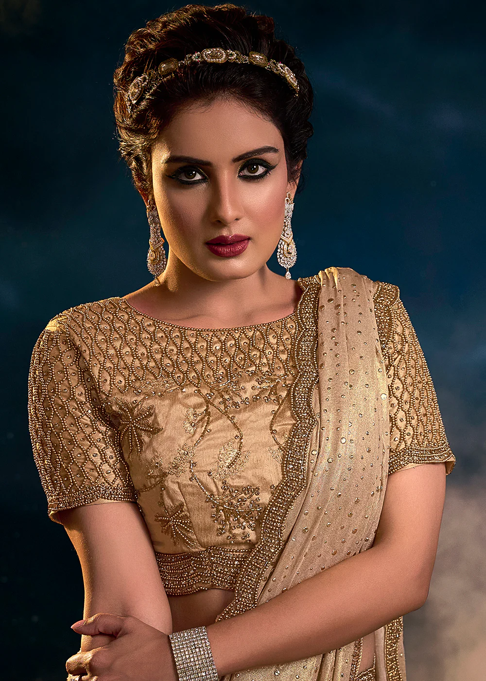 Chikoo Beige Premium Net Heavy Embroidered Designer Saree - Image 2