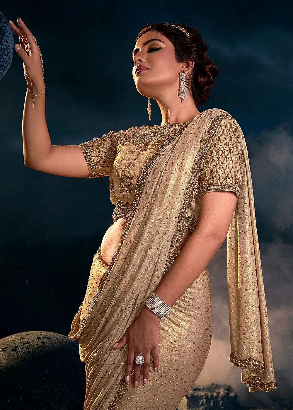 Chikoo Beige Premium Net Heavy Embroidered Designer Saree - Image 3