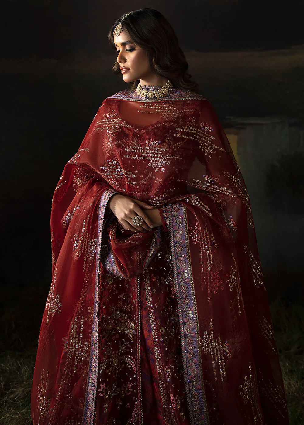 Hayat Wedding Formals '24 by Afrozeh | Anaya - Image 6