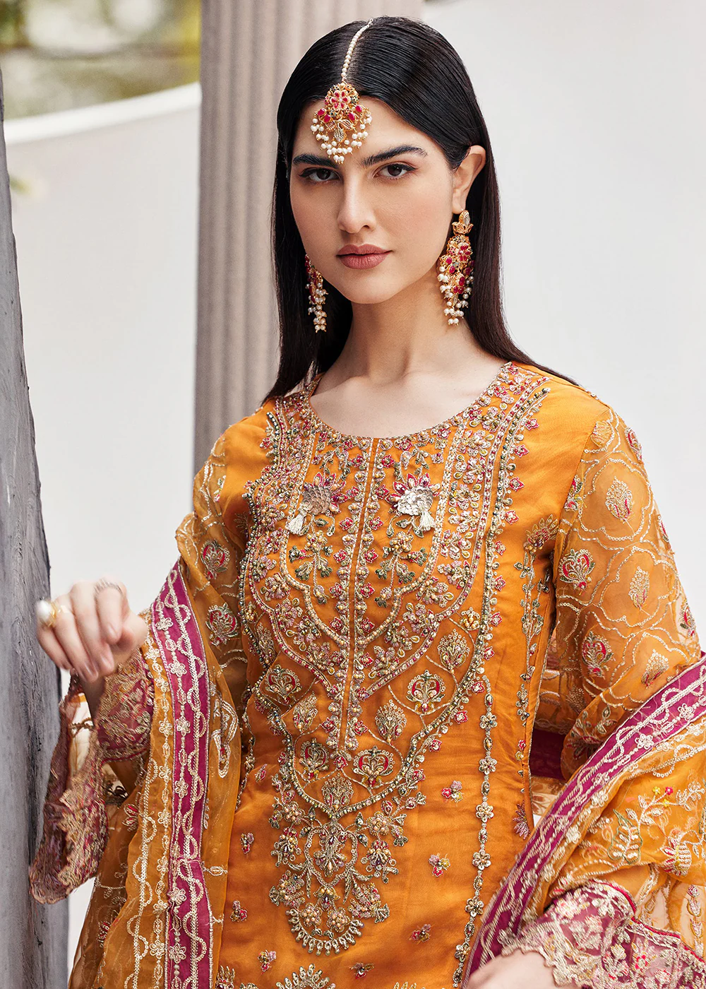 Nawabzadi Wedding Formals '24 by Emaan Adeel | RUHAB - Image 2