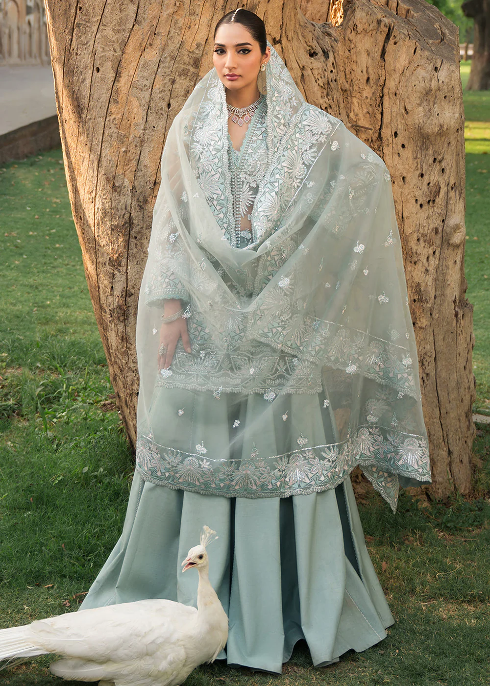 Pehli Nazar Wedding Formals '24 by Ayzel | SULTANA - Image 5