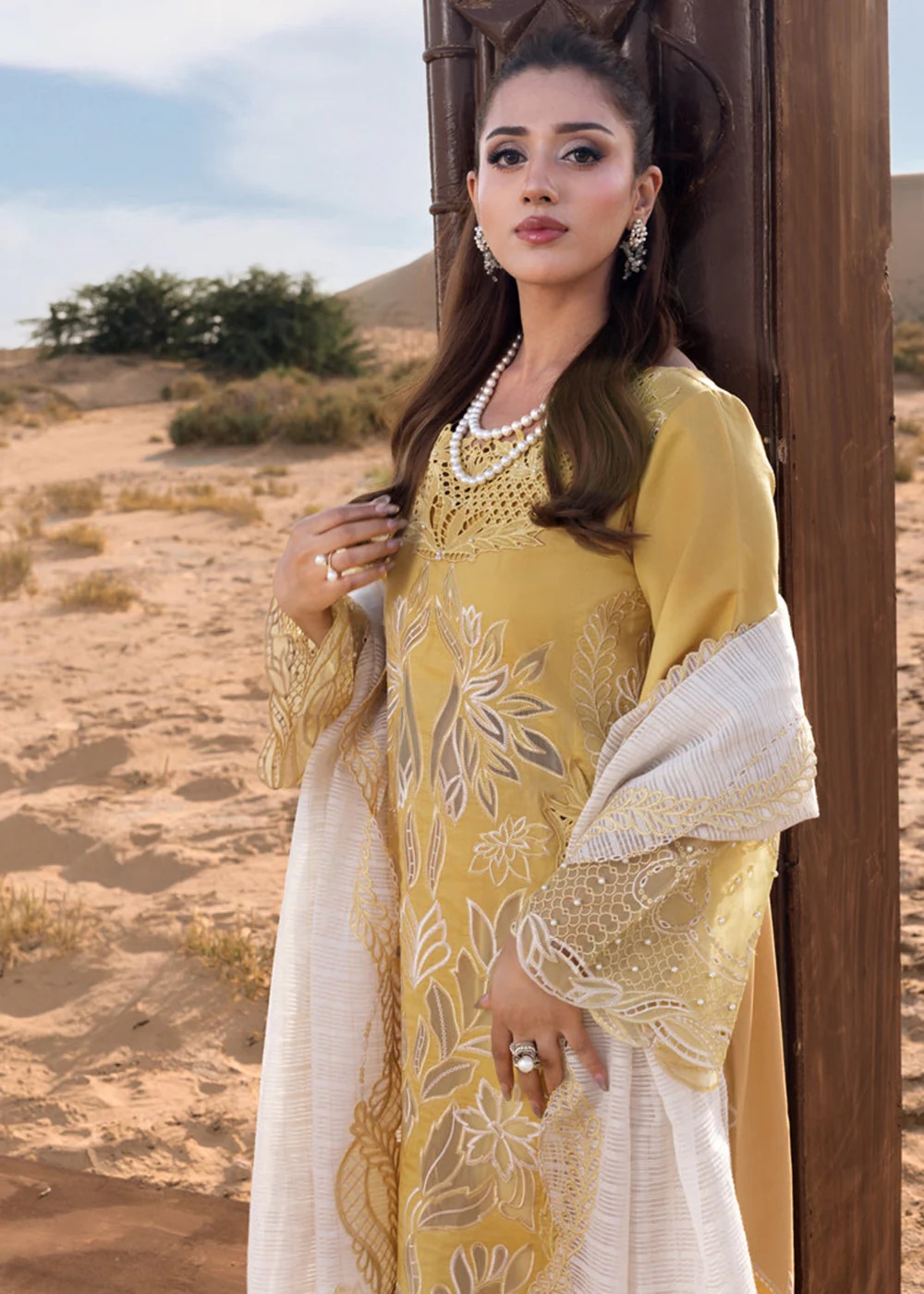Premium Luxury Lawn '26 by Rang Rasiya | HOORAIN - Image 8