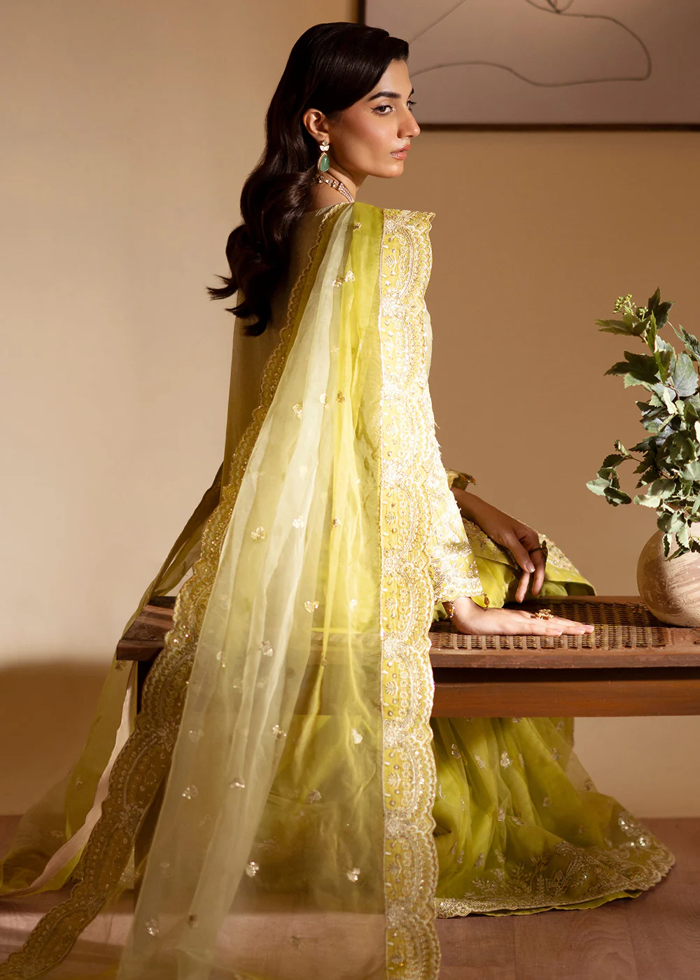 Romansiyyah Luxury Formals '24 by Emaan Adeel | SABIAN - Image 6