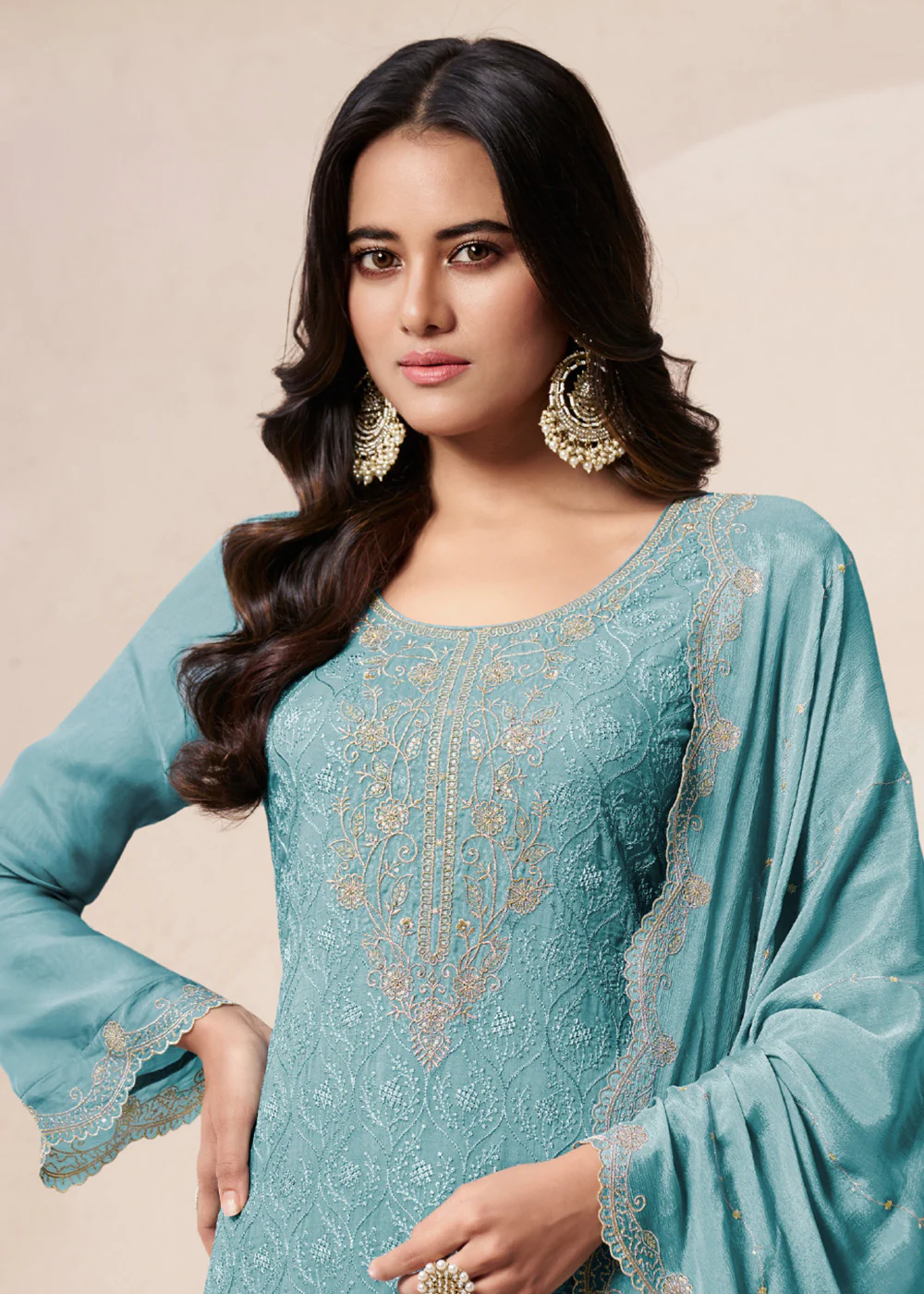 Sky Blue Schiffli Embroidered Organza Palazzo Salwar Suit - Image 2