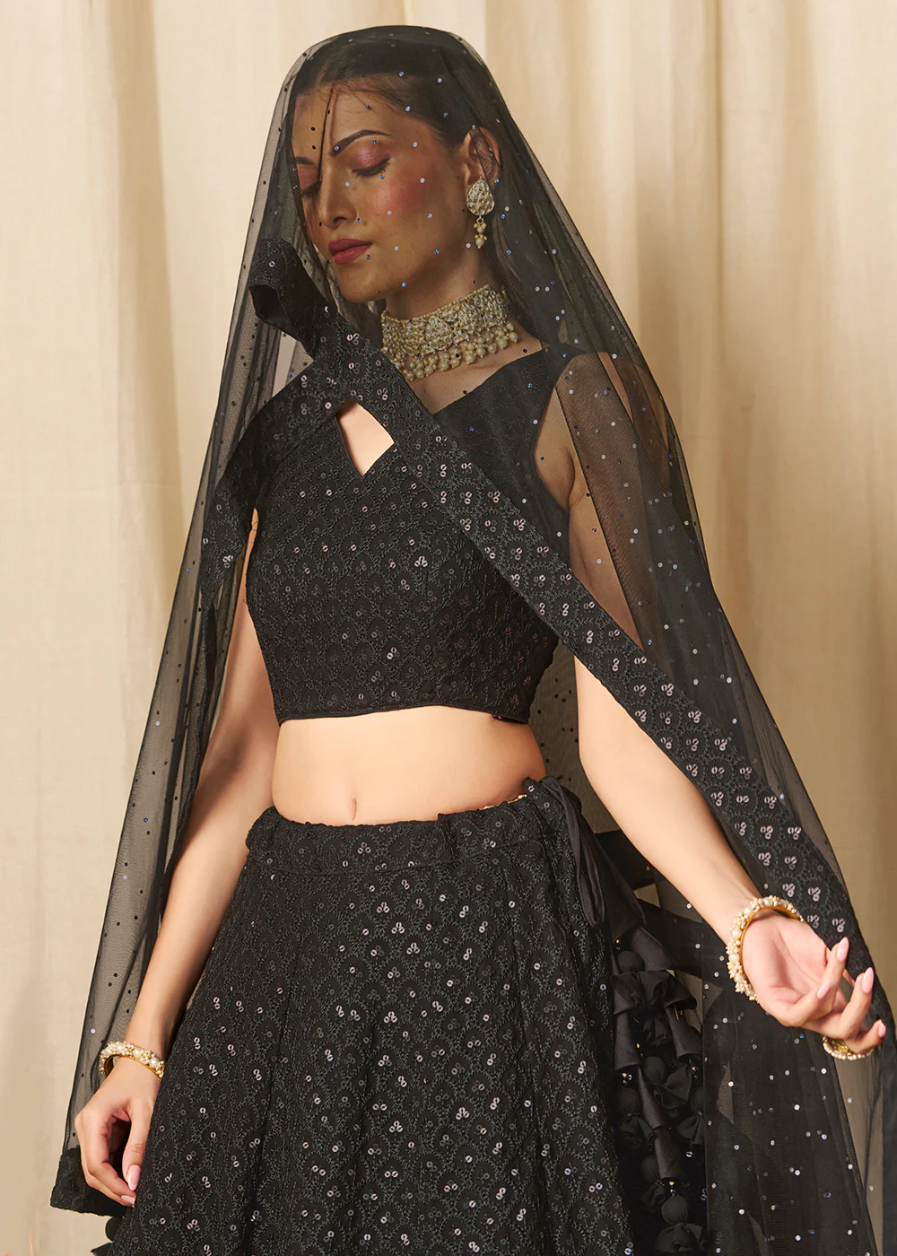 Threads & Sequins Work Black Festive Style Lehenga Choli - Image 5