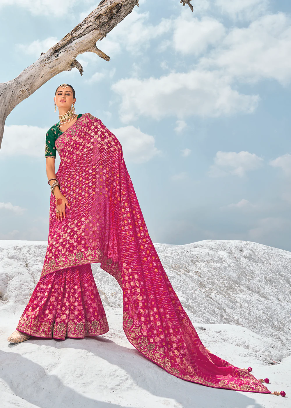 Wonderful Rani Georgette Wedding Bandhani Patola Saree - Image 4